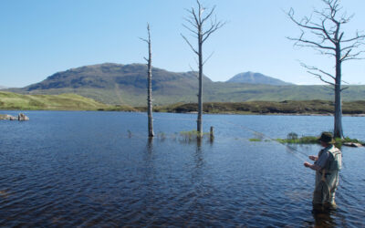 Trout Fishing in Assynt – an essential guide