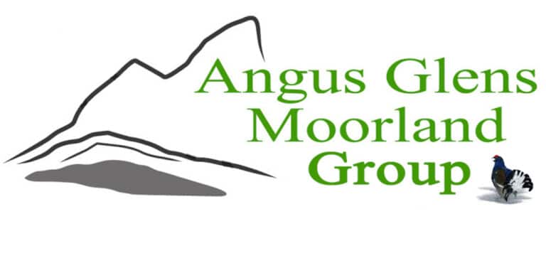 Scottish Country Sport, hunting, shooting & fishing