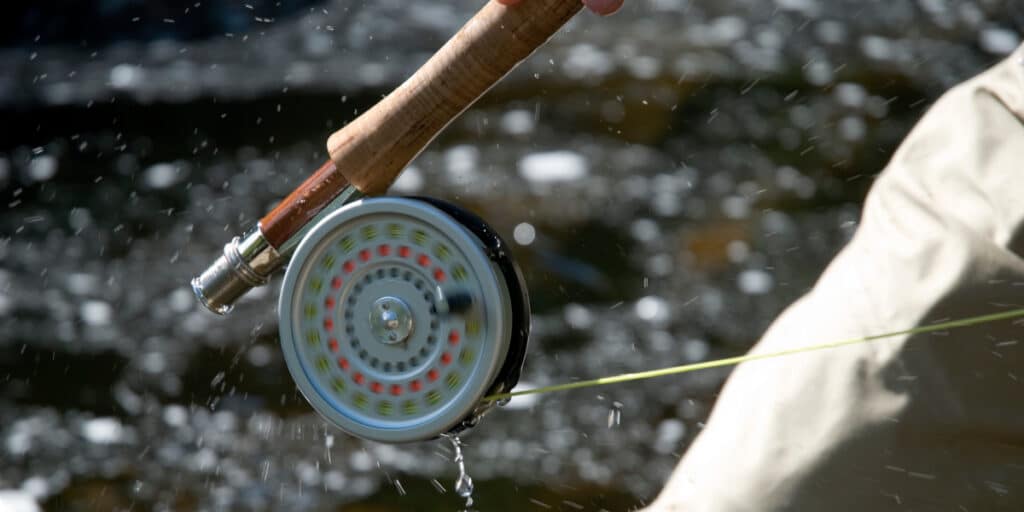 fishing rod and reel