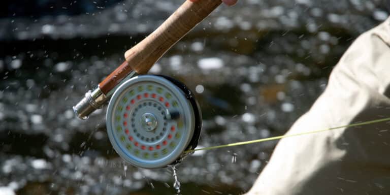 fishing rod and reel