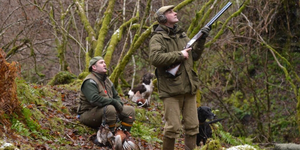 shooting in a Scottish woodland with dog