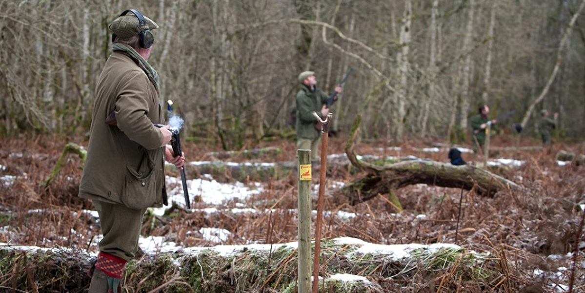 guns on pegs Scotland shooting