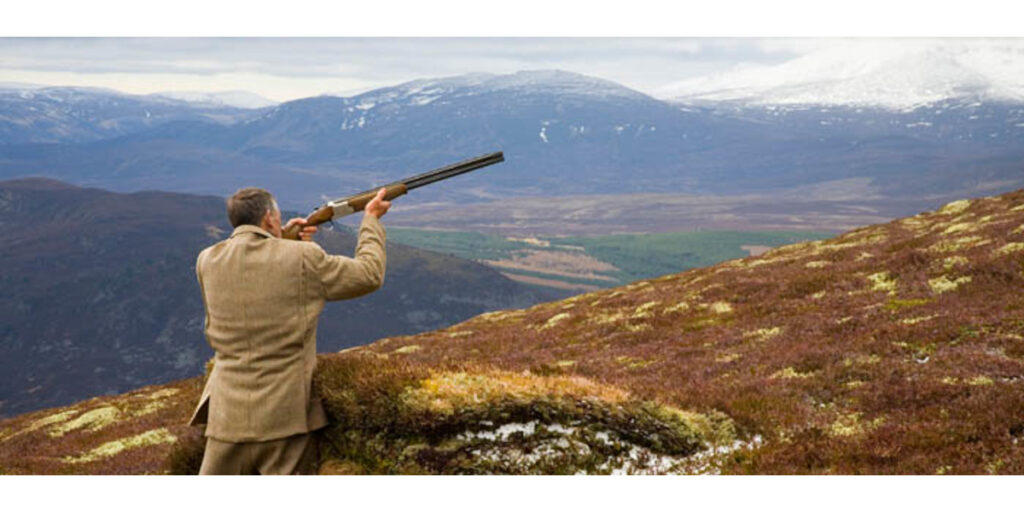 Invercauld_Estate_man_in_tweed_shooting_grouse_from_grouse_butt