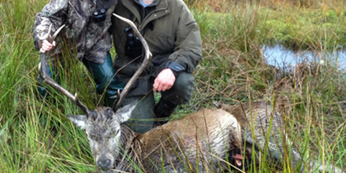 two stalkers with red deer stag