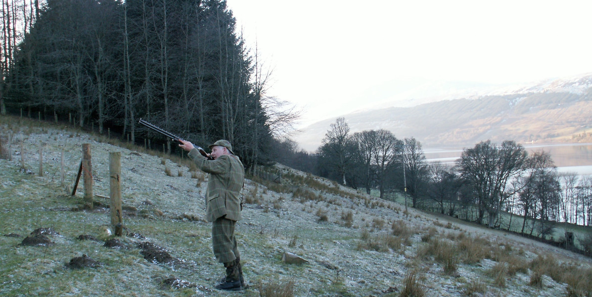 pheasant shooter on frosty hillside with fir trees in background