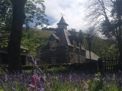 Bell tower in wood with bluebells in foreground