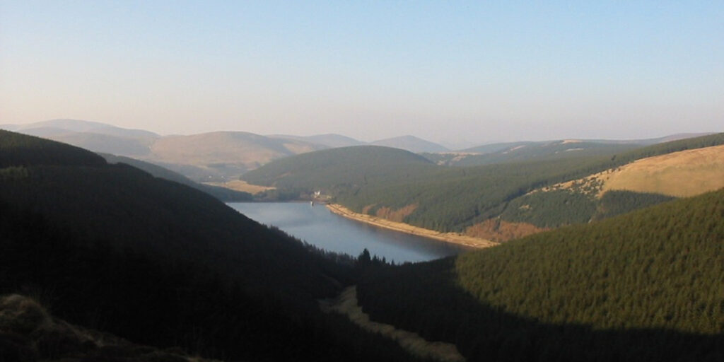 Talla reservoir with pine woods