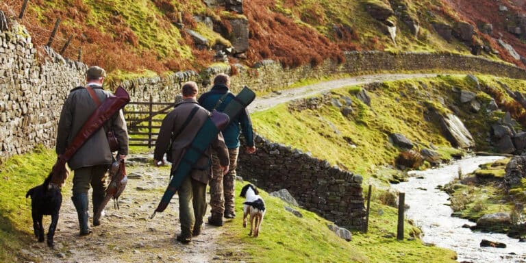 men with dogs and shotguns walking along a path