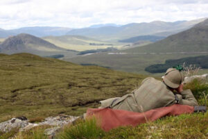 Stalker cerf des Highlands écossais couché sur une colline herbeuse