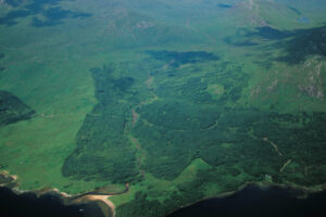 aerial shot Scottish forested hillside