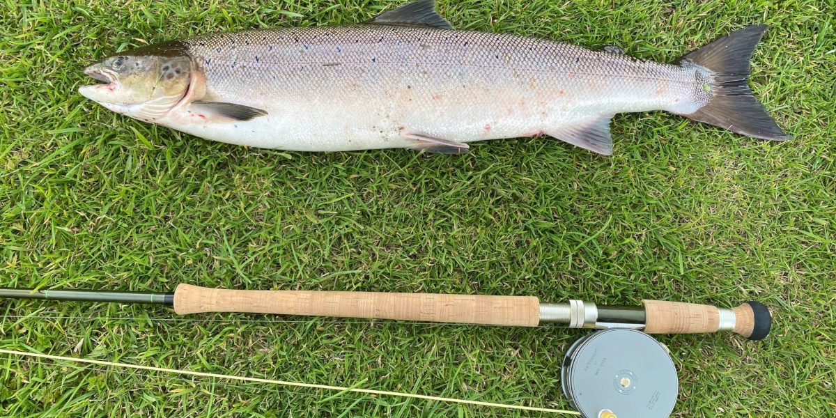 salmon and fly rod and reel on grass