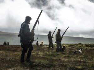 men with guns and dogs on a grouse moor