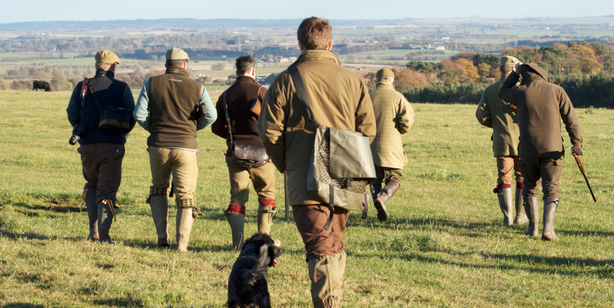 back view of group of men with shotguns and a dog