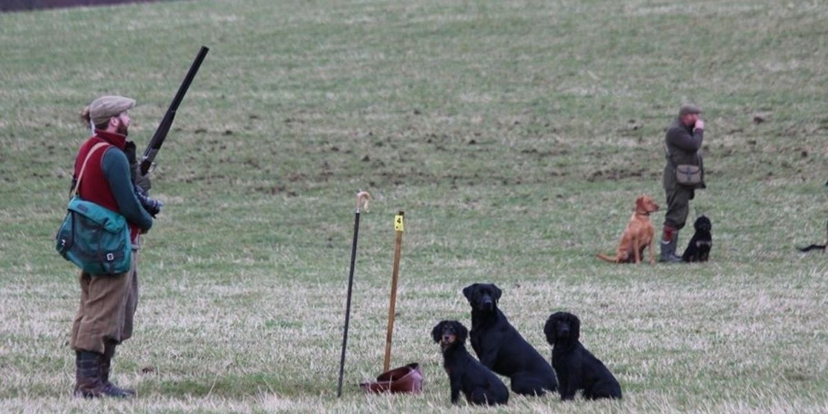 Stormwatch Gundogs