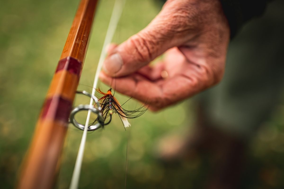 Tulchan Salmon Fishing