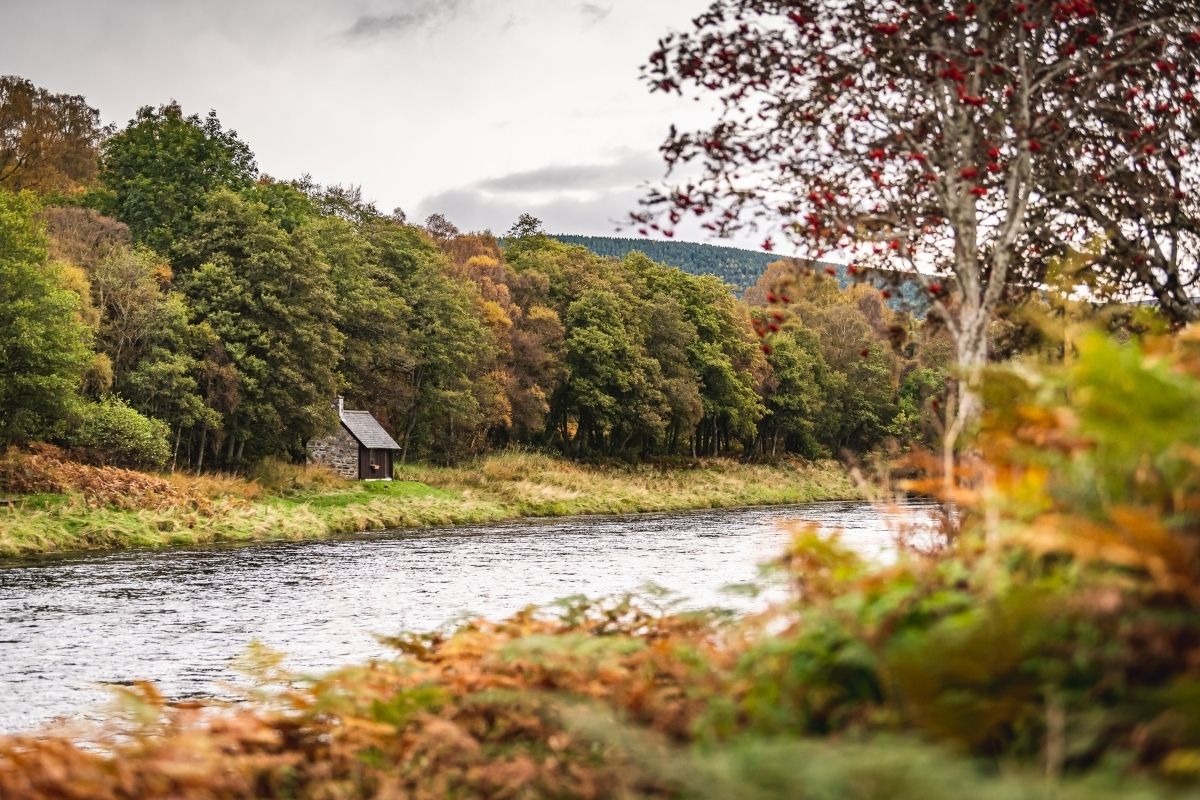 The excitement of Autumn Salmon fishing - Country Sport Scotland