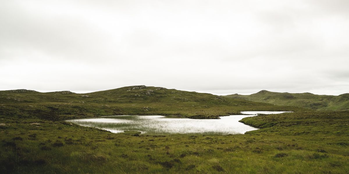 Discovering Scotland's Lochs: The Greatest Spots for Brown Trout Fishing -  Country Sport Scotland