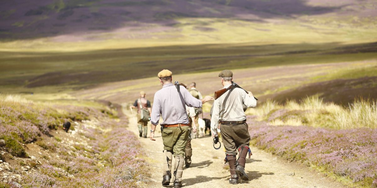 grouse-shooting-scotland