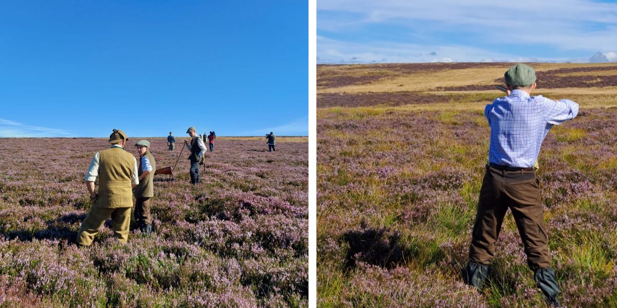 grouse-shooting-perthshire