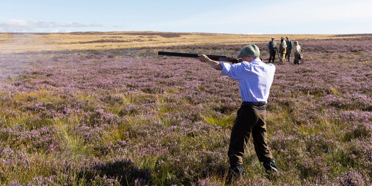 grouse-shooting-perthshire