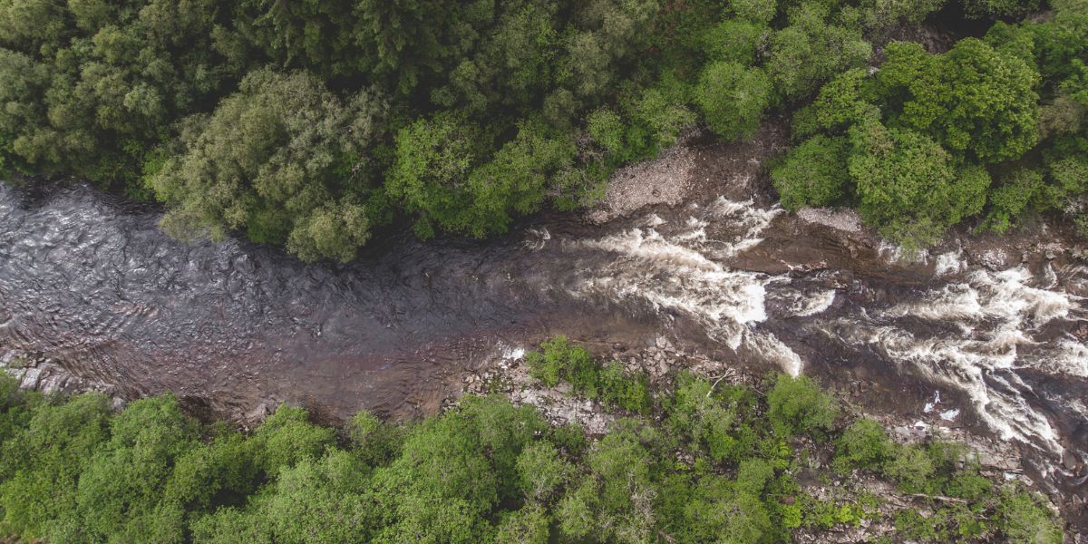 salmon-fishing-scotland