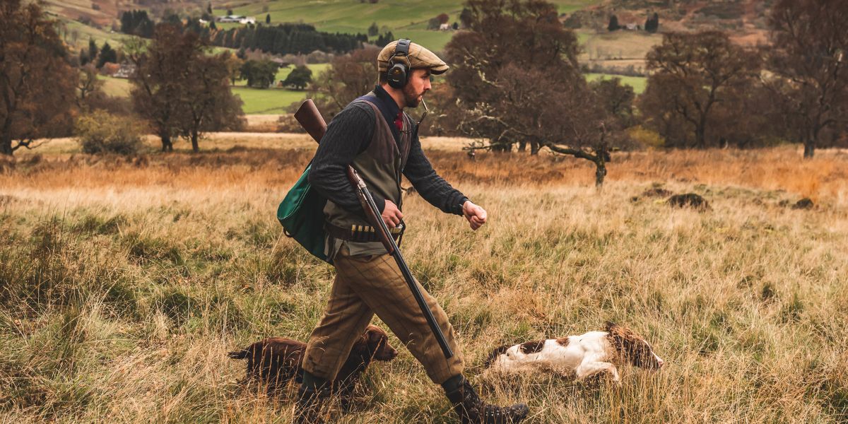 gundogs-scotland