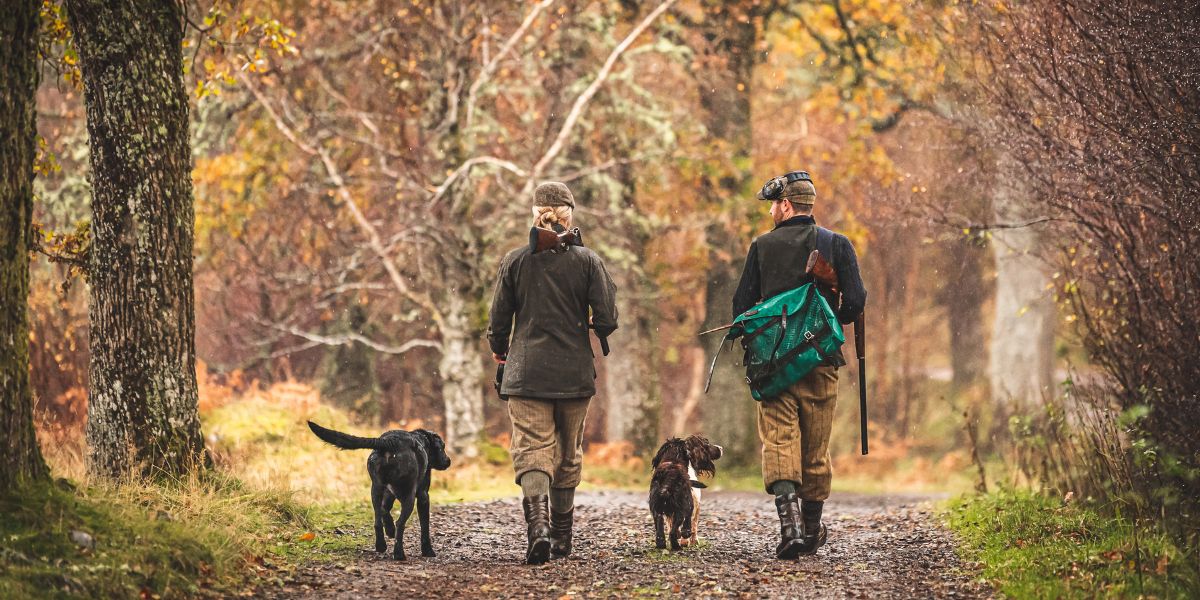 gundogs-scotland