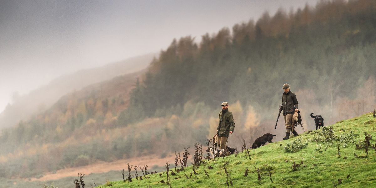 gundogs-scotland