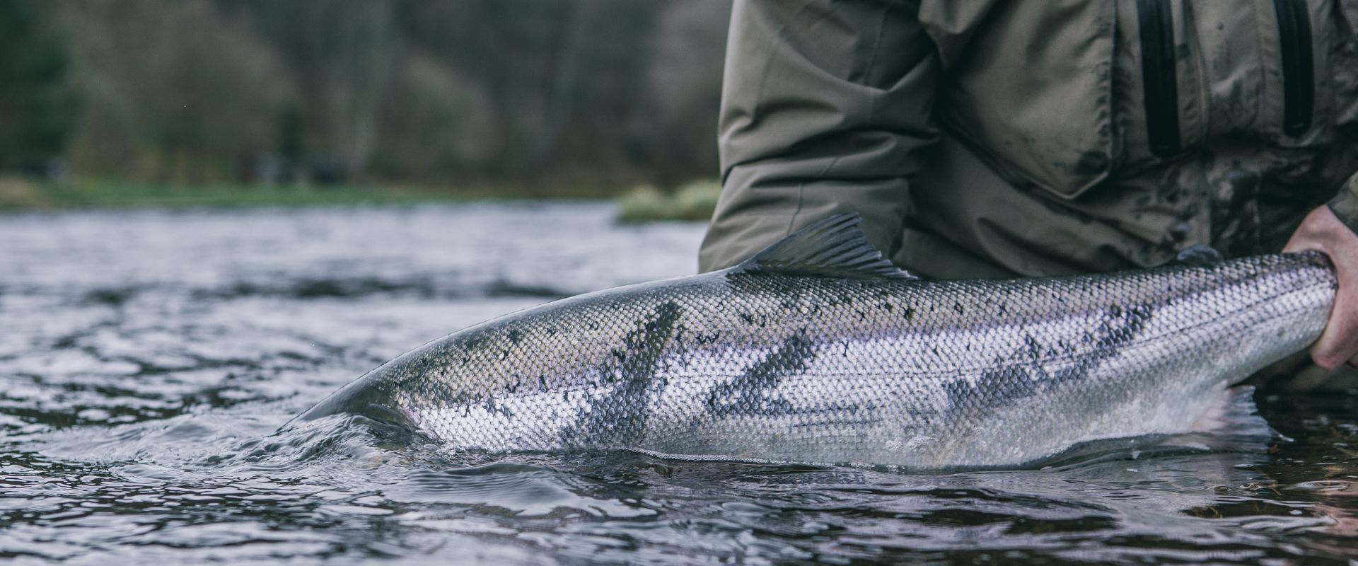 Best leader for salmon fishing on the River Tay