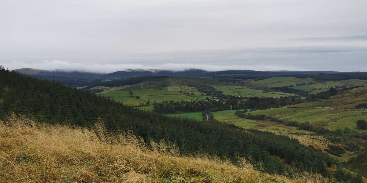 south-ayrshire-stalking