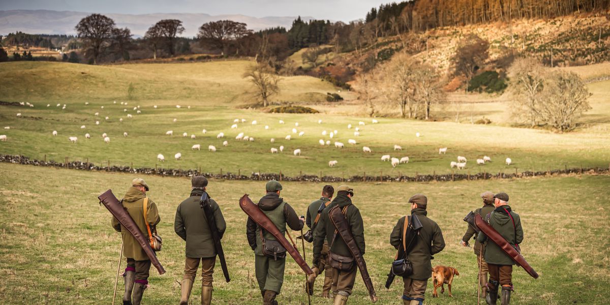 game-shooting-scotland