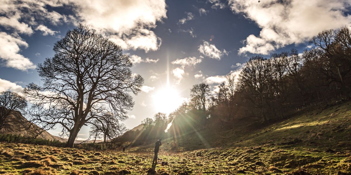 driven-game-shooting-scotland