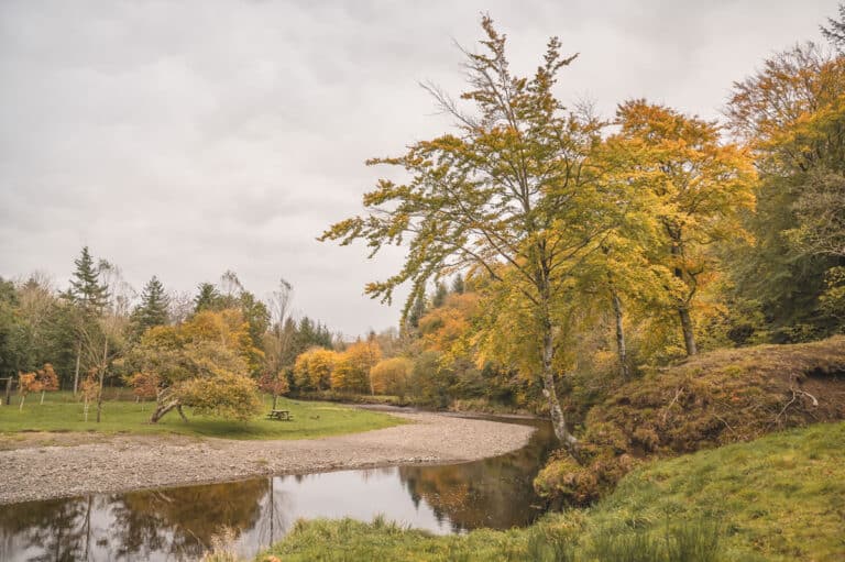 Country Sport Scotland - Minuntion Estate