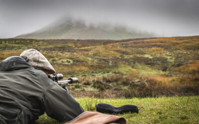 Scottish Deer Stalking: The Highland Pursuit – Embracing the Tradition and Challenge