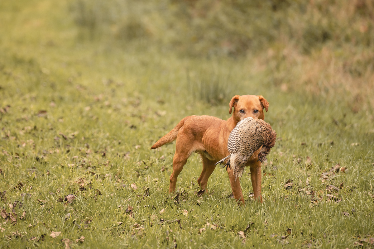 231026 Minuntion 275 LOWRES