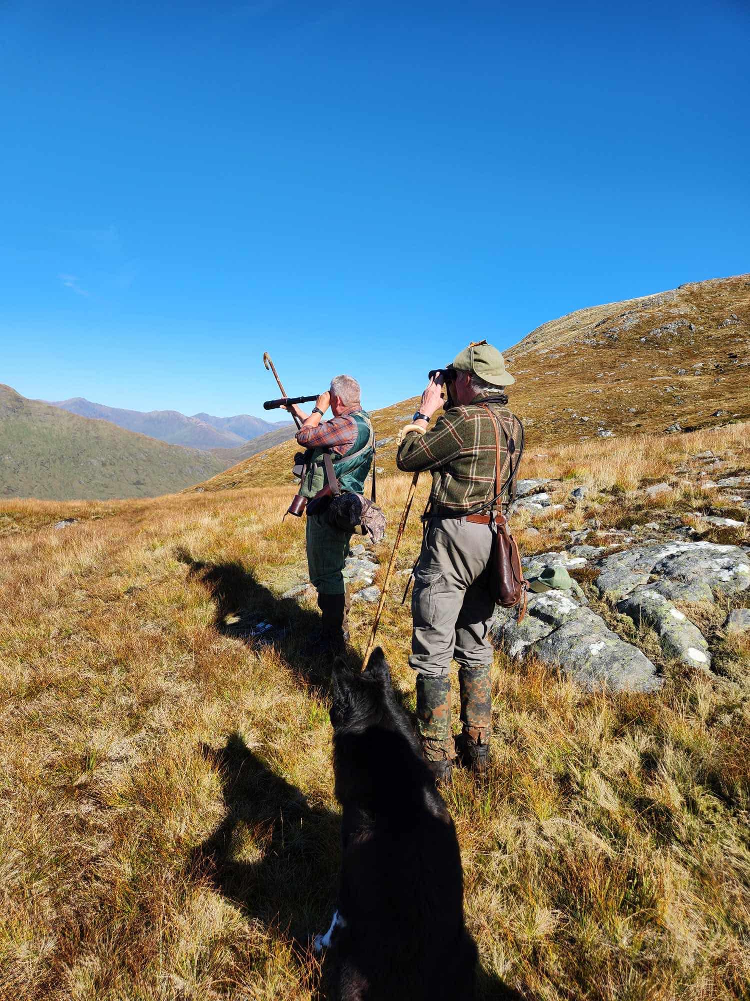 460922001 522233787234009 8449541753380549120 n