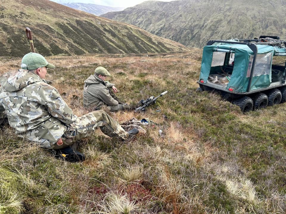 465977334 559479850176069 8264667952819415647 n