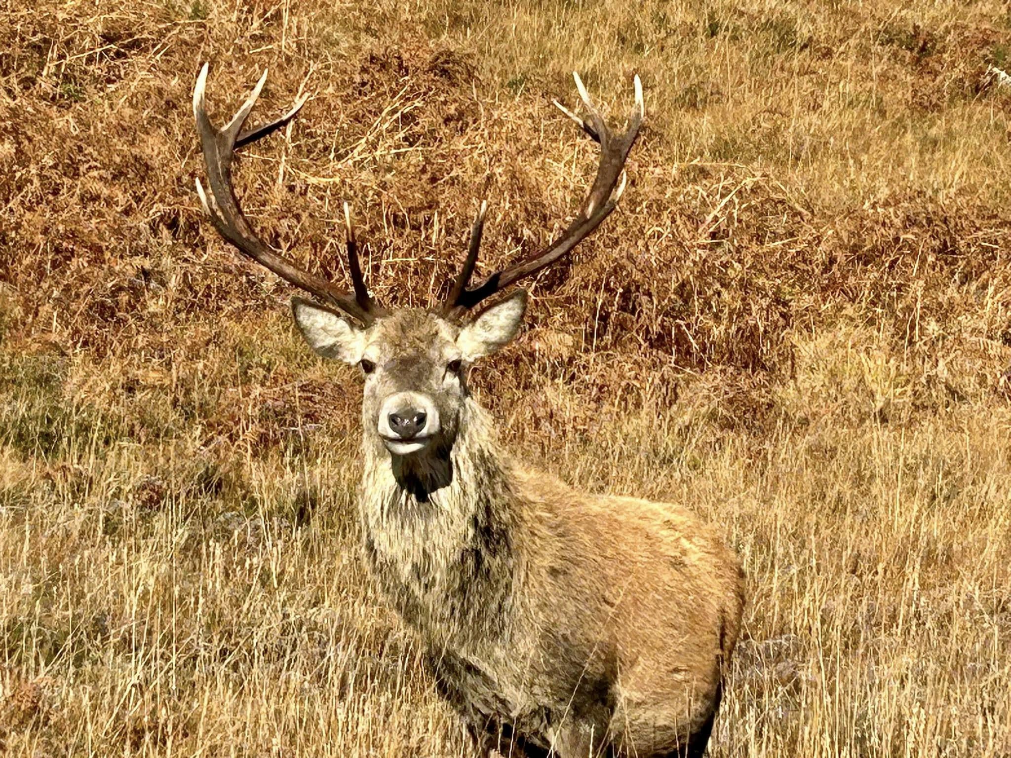 467485481 567356132721774 1292714585142324705 n