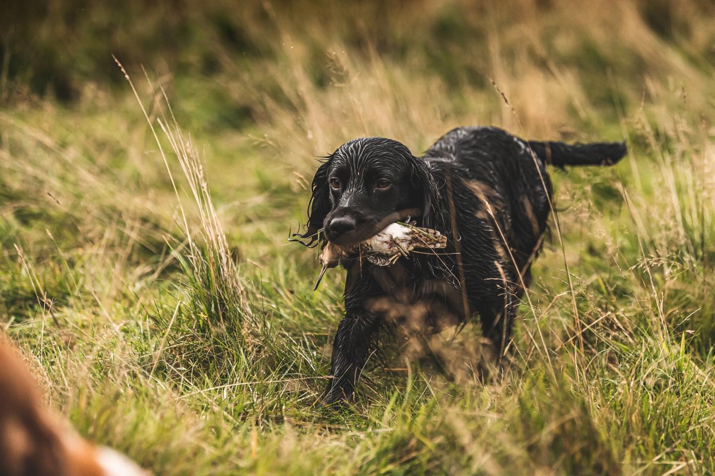 481079876 9584098521642544 6404319999163491361 n