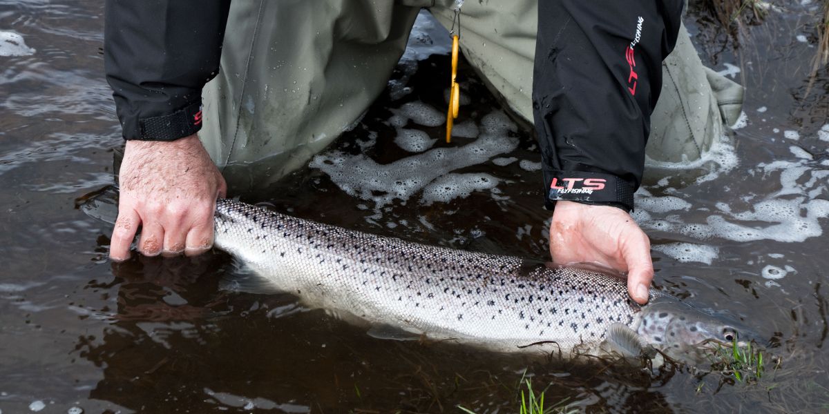 BIG BACK BANNER 2022 06 28T143606.666