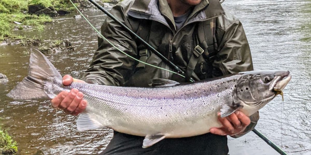 BIG BACK BANNER 2022 06 28T143707.106