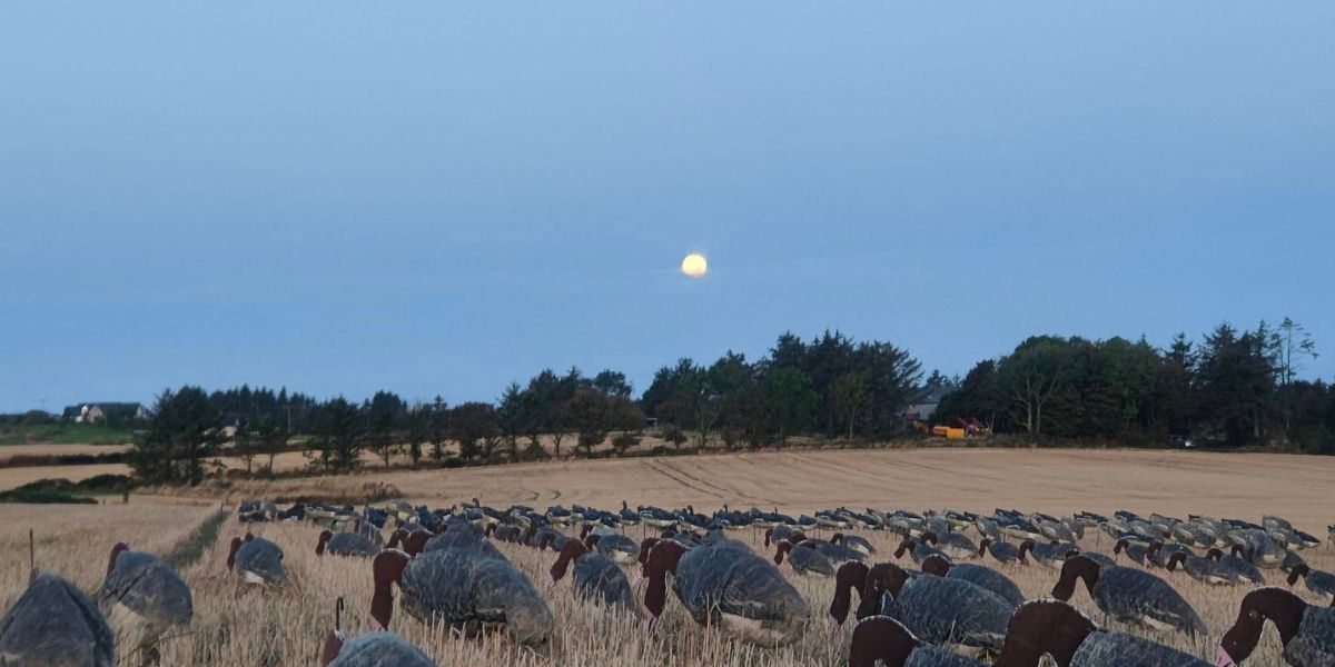 BIG BACK BANNER 2023 04 04T175924.399