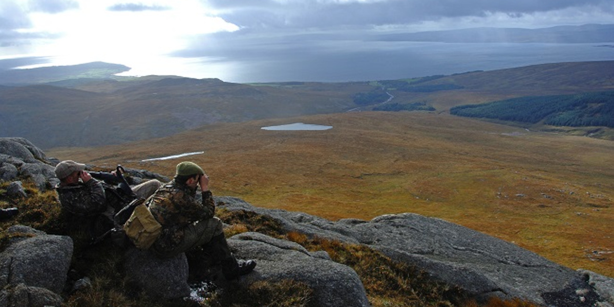 Dougarie Estate 2 stalkers