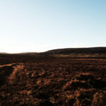 Edinglassie grouse moor 150x150