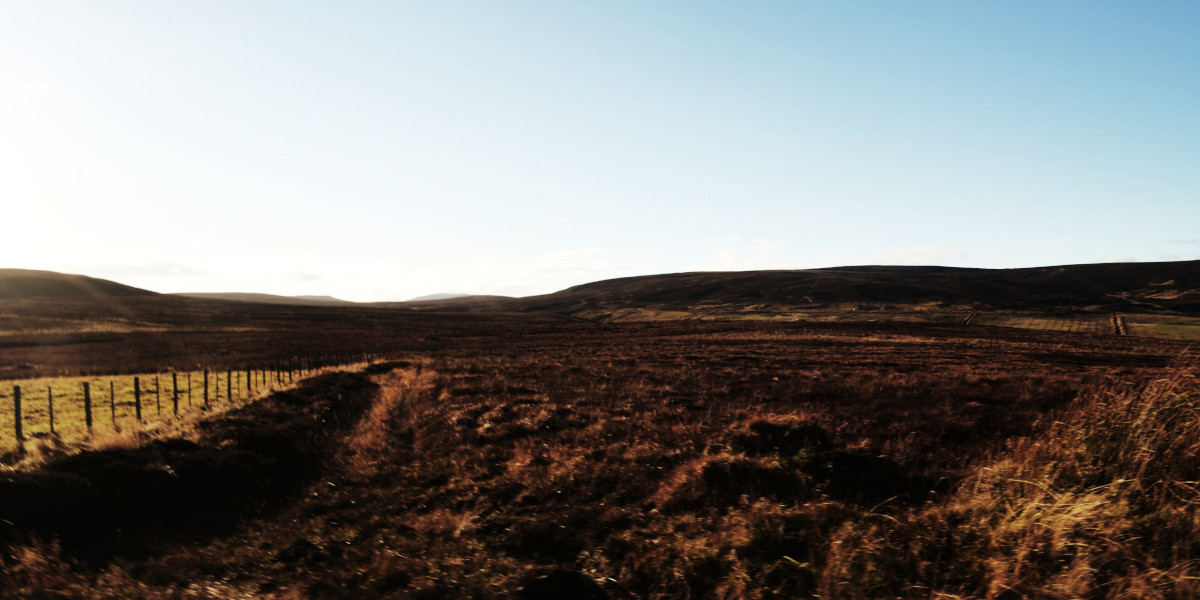 Edinglassie grouse moor