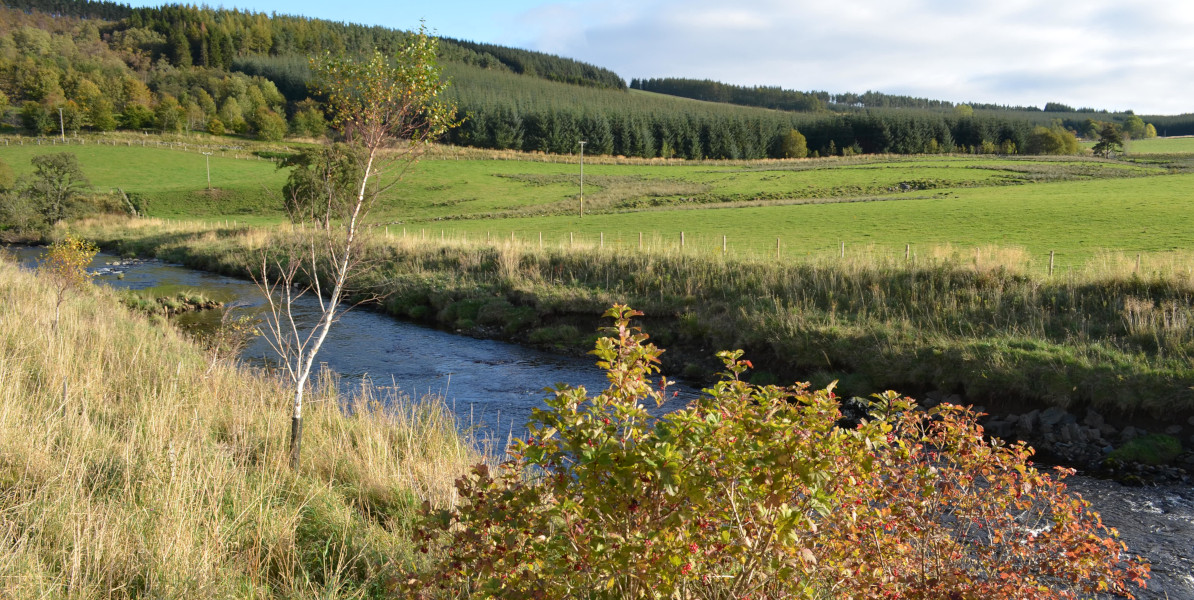 Edinglassie river farmland