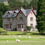 Glenshero Exterior Sheep 150x150