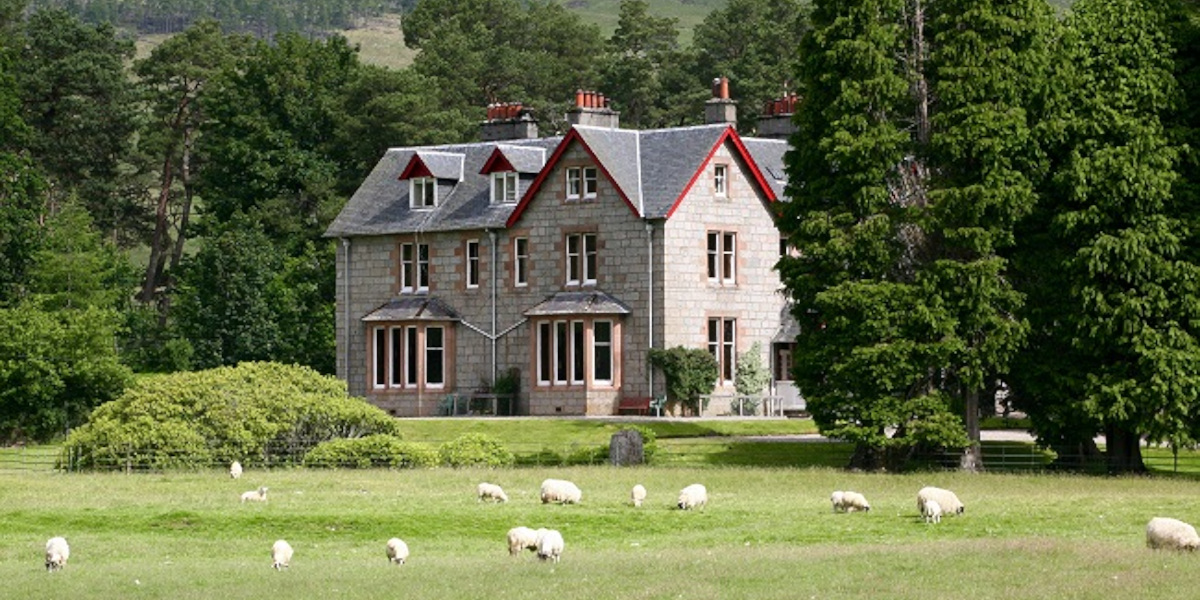 Glenshero Exterior Sheep