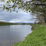 IMG 5471 3f33ac43f88dbba54486c540d6422455 copy 150x150