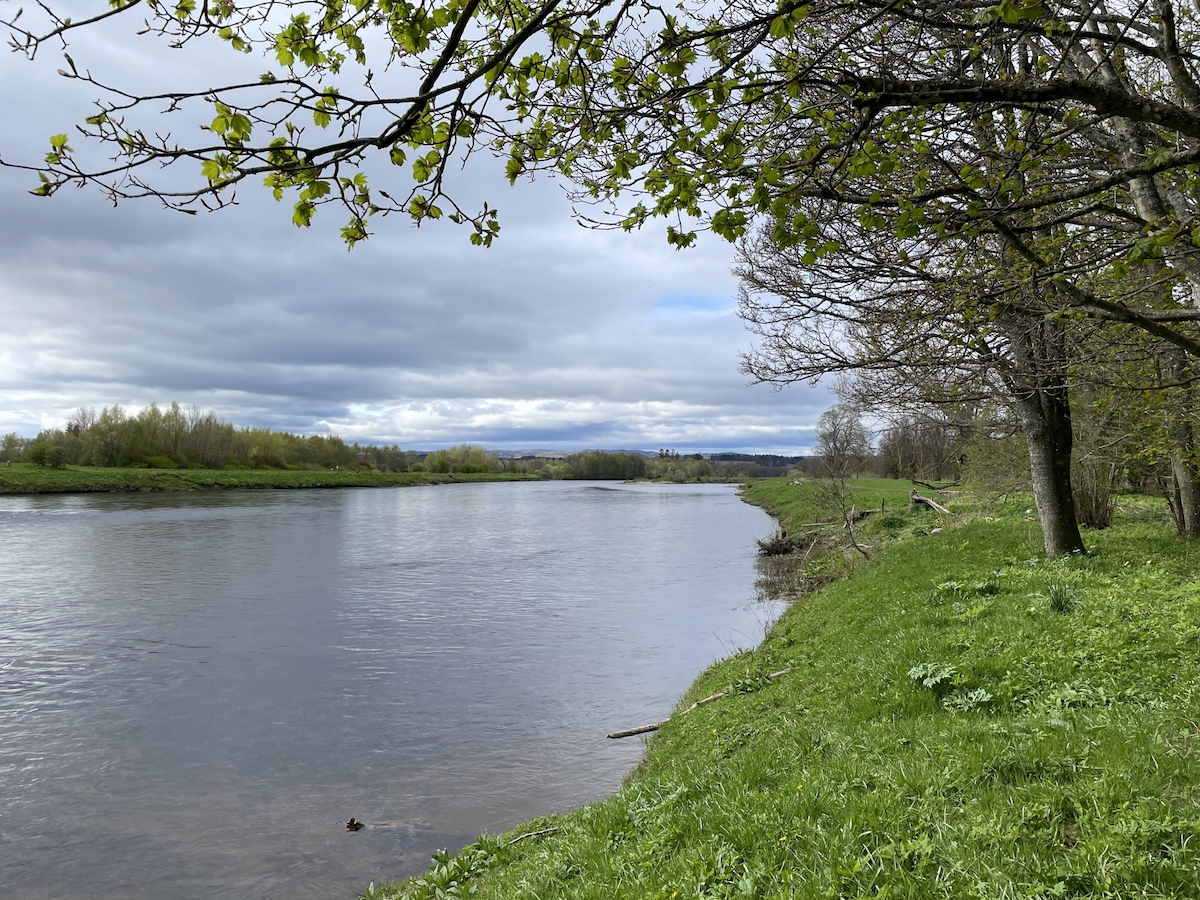 IMG 5471 3f33ac43f88dbba54486c540d6422455 copy